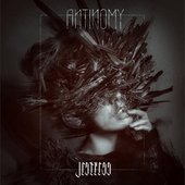 Antinomy