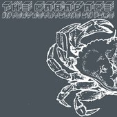 Interpretations in Time