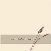 Siach Hasadeh