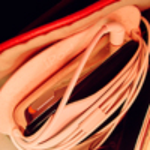 LastFM profile picture for @earlier