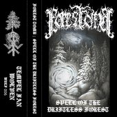 Spell of the Driftless Forest