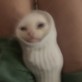 Avatar for clawbe