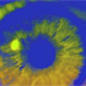Avatar for Cheradinine