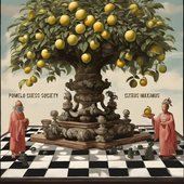 Citrus Maximus