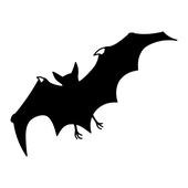 Avatar für Electrovi4