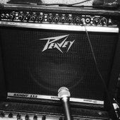 peavey.jpg