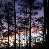 369193F7-0D77-463C-A234-933807892F10.jpeg