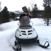 snow bunni