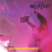 Custonghafuhrst