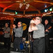 The Alligators 1