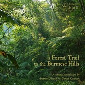 A Forest Trail to the Burmese Hills