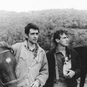 los-burros.jpg