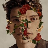 Shawn Mendes (2018)