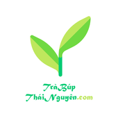 Avatar for trabuptn