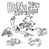 Bunu sen istedin