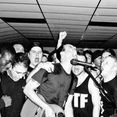 Black Kites' (NJ)  final show, March 2012