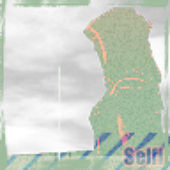 LastFM profile picture for @Selfi