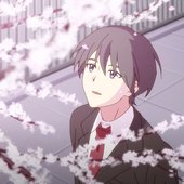 hikari be my light