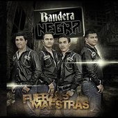Fuerzas Maestras