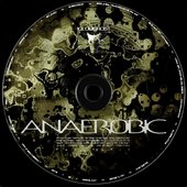 Anaer0bic