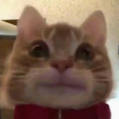 Avatar for BeepBoop2