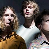 Methyl Ethel