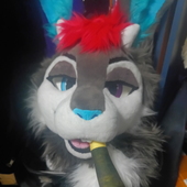 Jacky_folf 的头像
