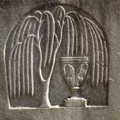 A Tree For Crying Times