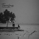 Timeless (feat. Mianova) - Single