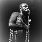 Isaac Hayes_11 (2).jpg