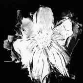 venus_verse