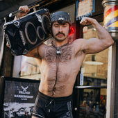 Gallipony