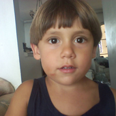 PedroSophiaaa 的头像