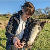 owen with a horse