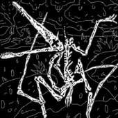 Pterodactyl Wings - Single