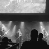 Live at Skogen Fest II