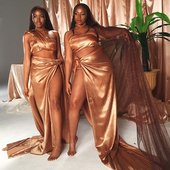 VanJess