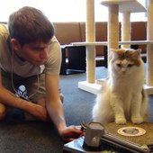 Zwackery with cats