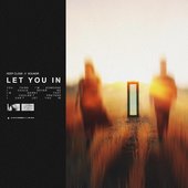 Let You In