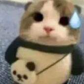 kaz00kat 的头像