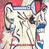 Tek Selection