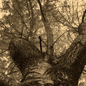 STAH_PNG_311215_04.png