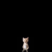 njuemutwiri 的头像