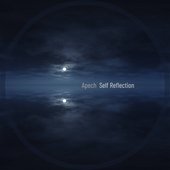 Self-Reflection
