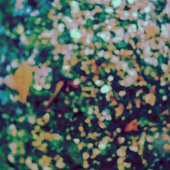 What Can You See?