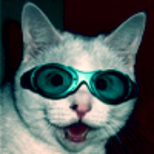 Avatar for ibahnun