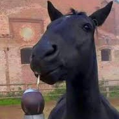 Avatar for repunancia