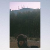 N / Maqui