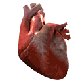 patoirlove 的头像