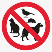 AntiTroonBot için avatar